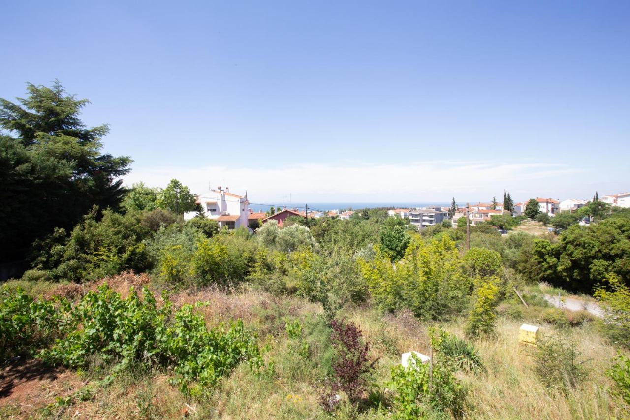 Τraditional Fully Detached Villa On A Luxurious Hillock Of Thessaloniki With Its Own Garden Also For Family & Wedding Gatherings For 10 To 25 People Only 15 Minutes From Airport Esterno foto